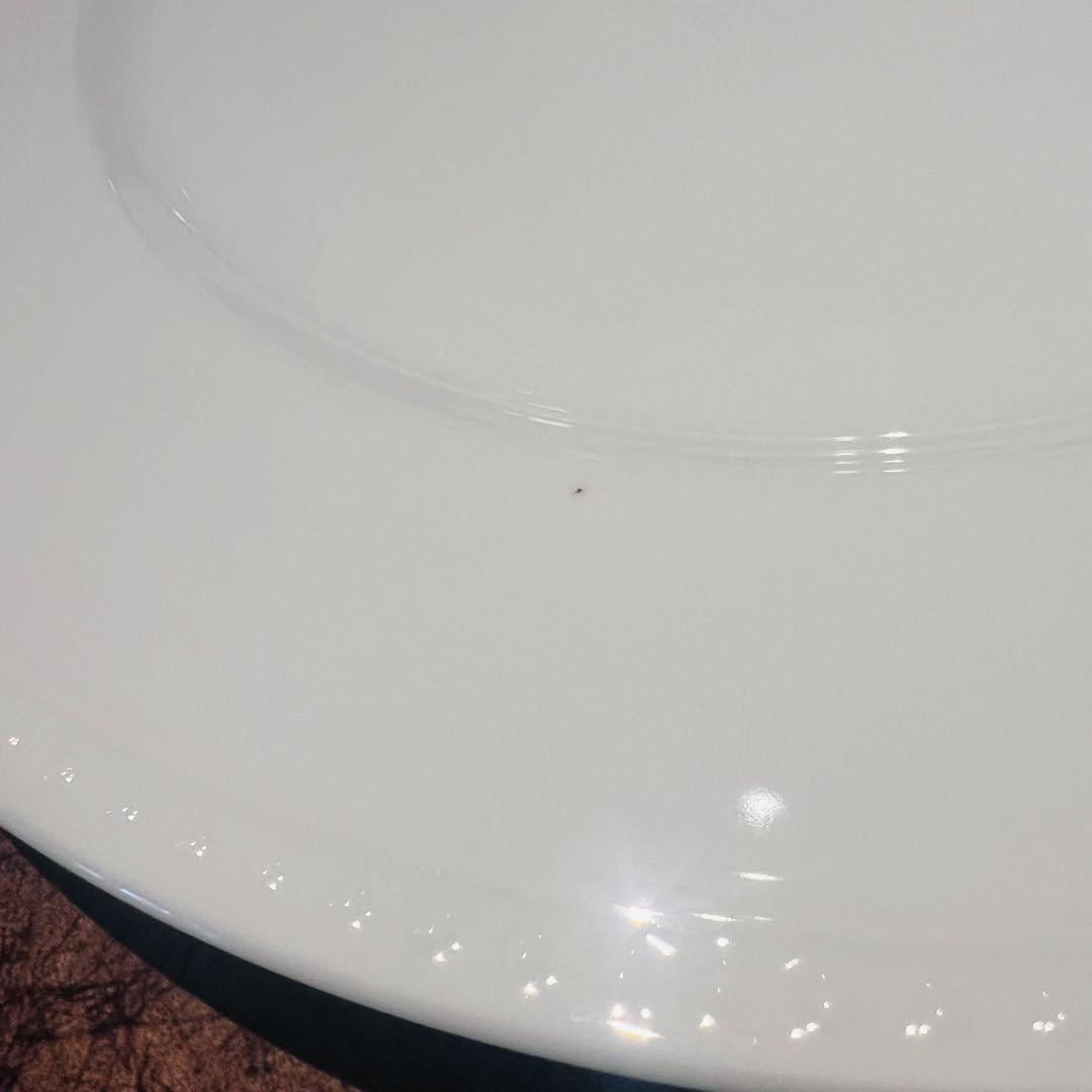 Crate & Barrel STACCATO プレート皿セット