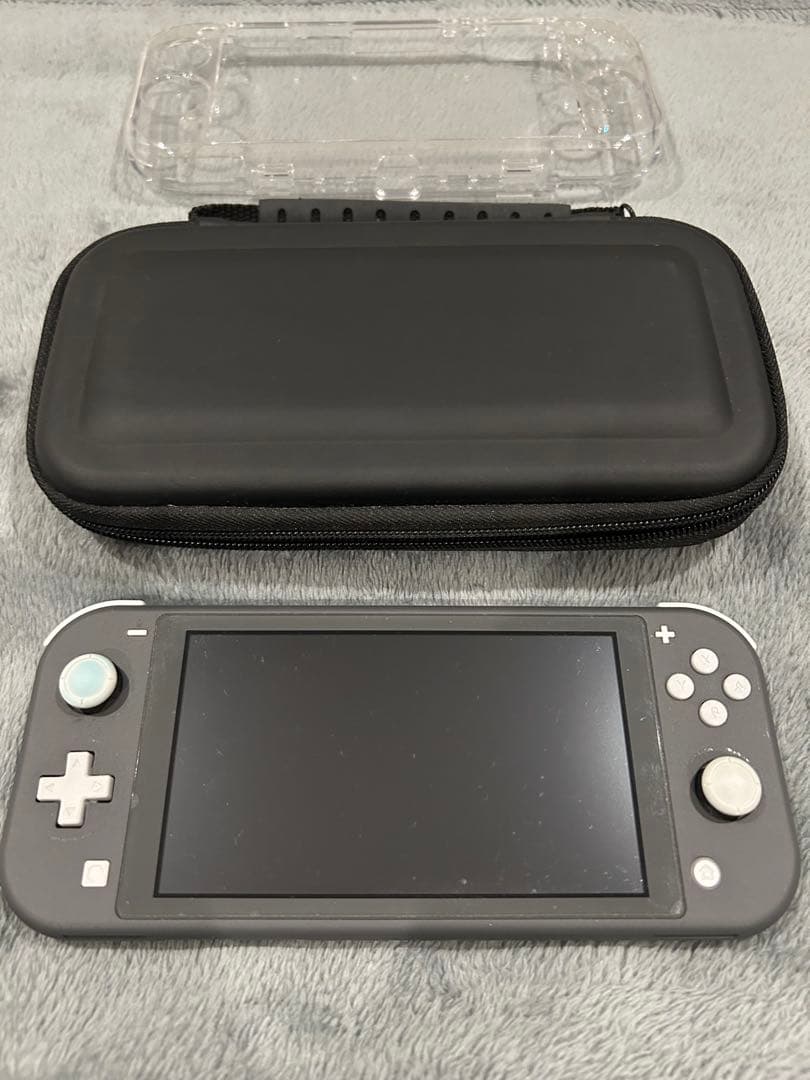 Nintendo Switch Lite グレー本体(ケース・プロテクター付き)