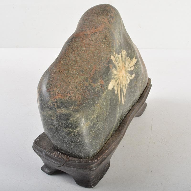 にの　鑑賞石　菊花石　置物　重さ約3019g　唐木台付　C　R6678