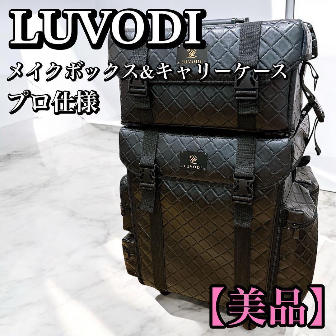【美品】プロ仕様　LUVODI メイクボックスキャリー　大容量 3WAY