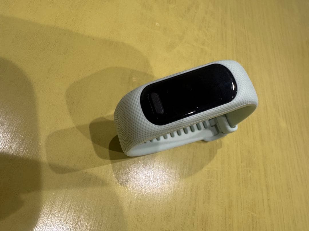 ガーミン GARMIN vivosmart 5 ヴィヴォスマート5
