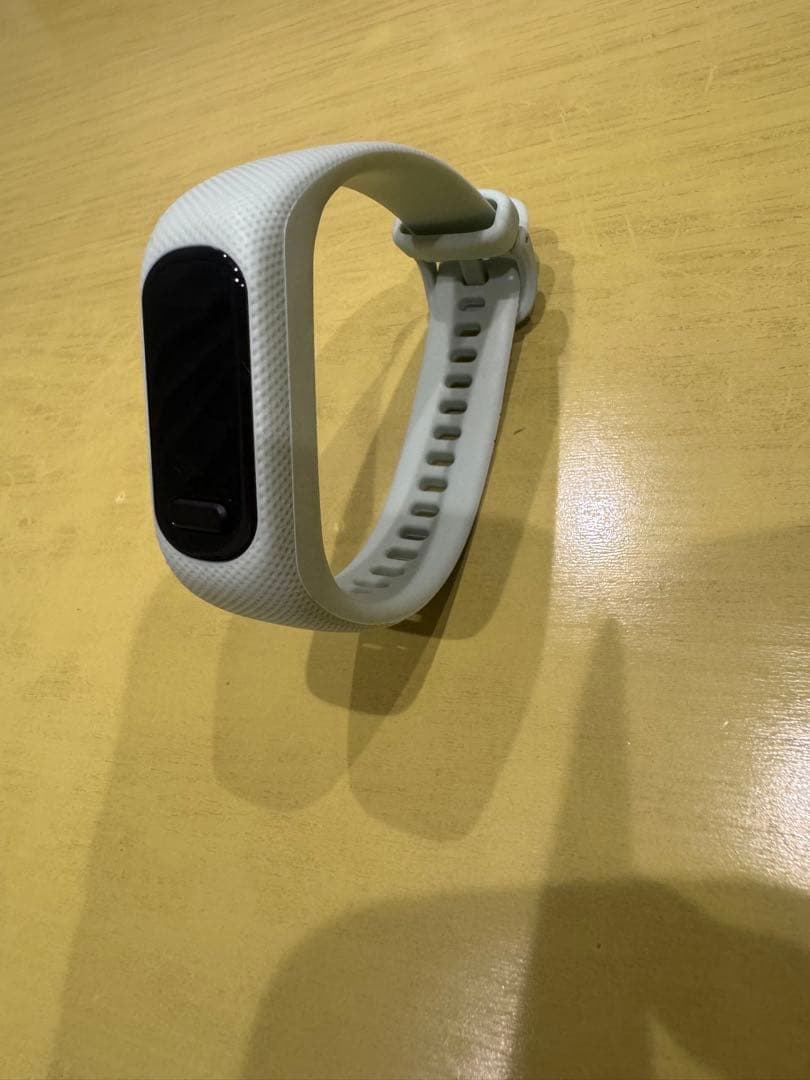 ガーミン GARMIN vivosmart 5 ヴィヴォスマート5