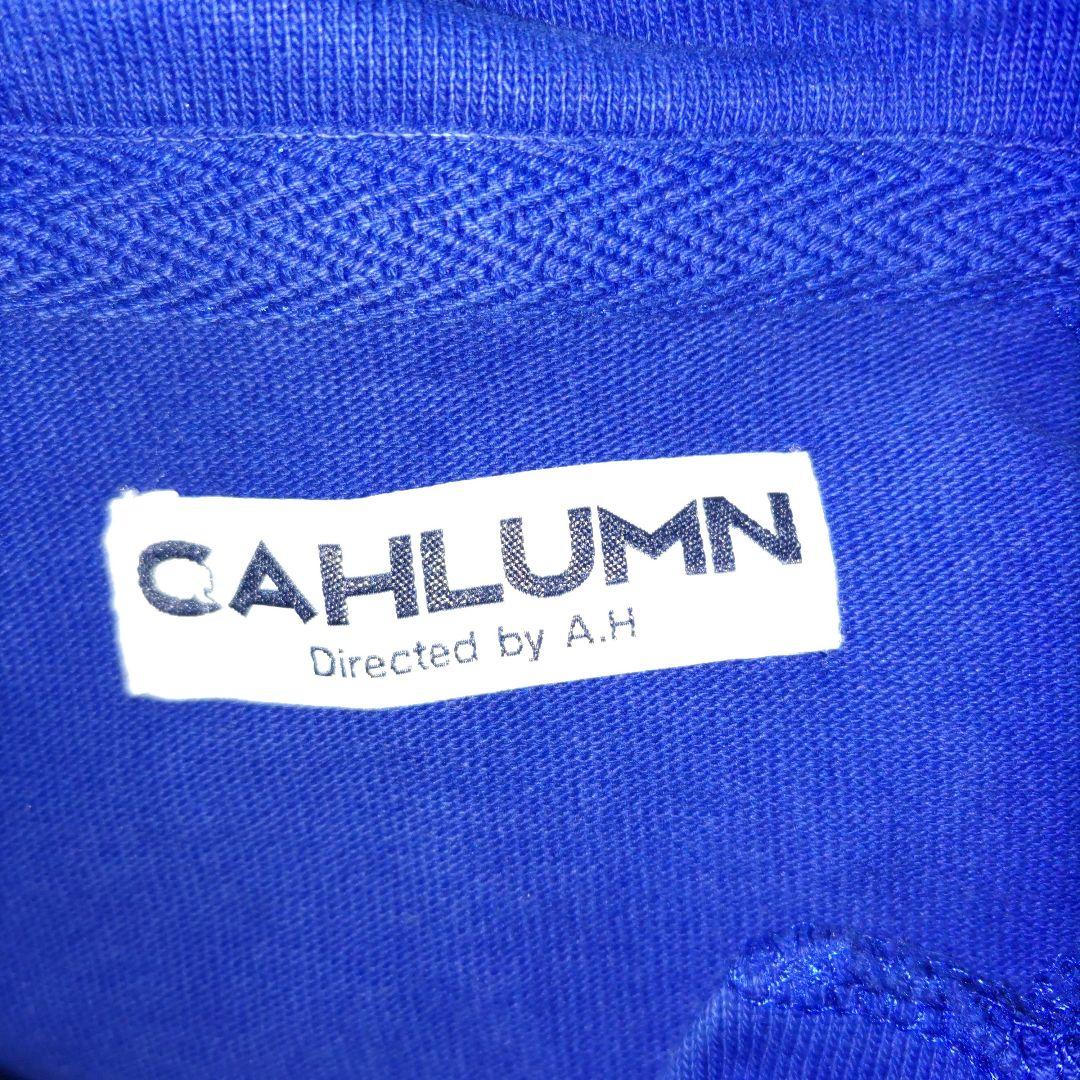 no1225　　CAHLUMN ヘビーウェイトカットソー