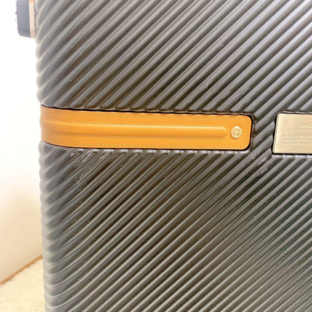 Samsonite ブラックレーベル リッチモンド 2 スピナー 75 キャリー