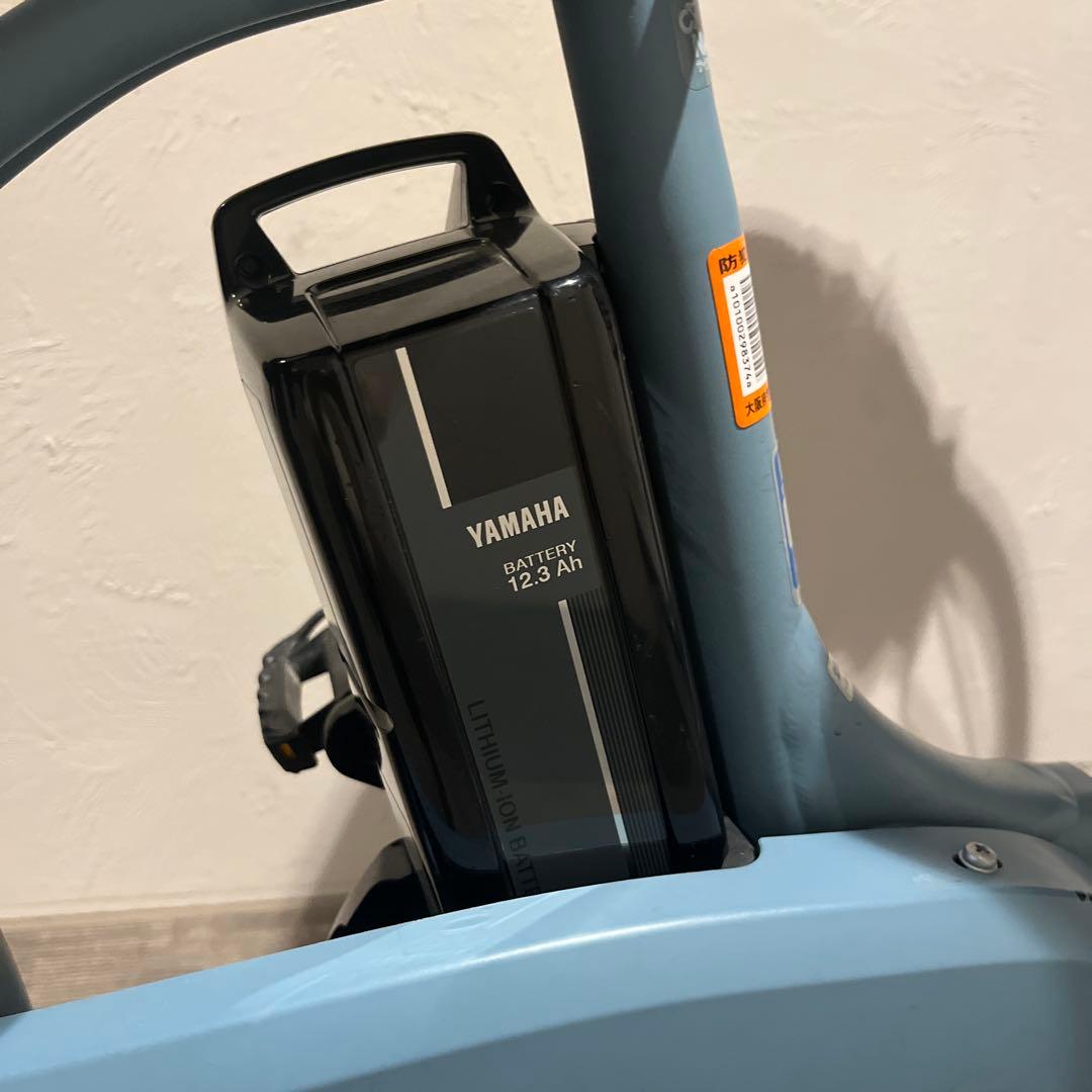 パスバビーアン　電動アシスト自転車 前後チャイルドPA20BXLR