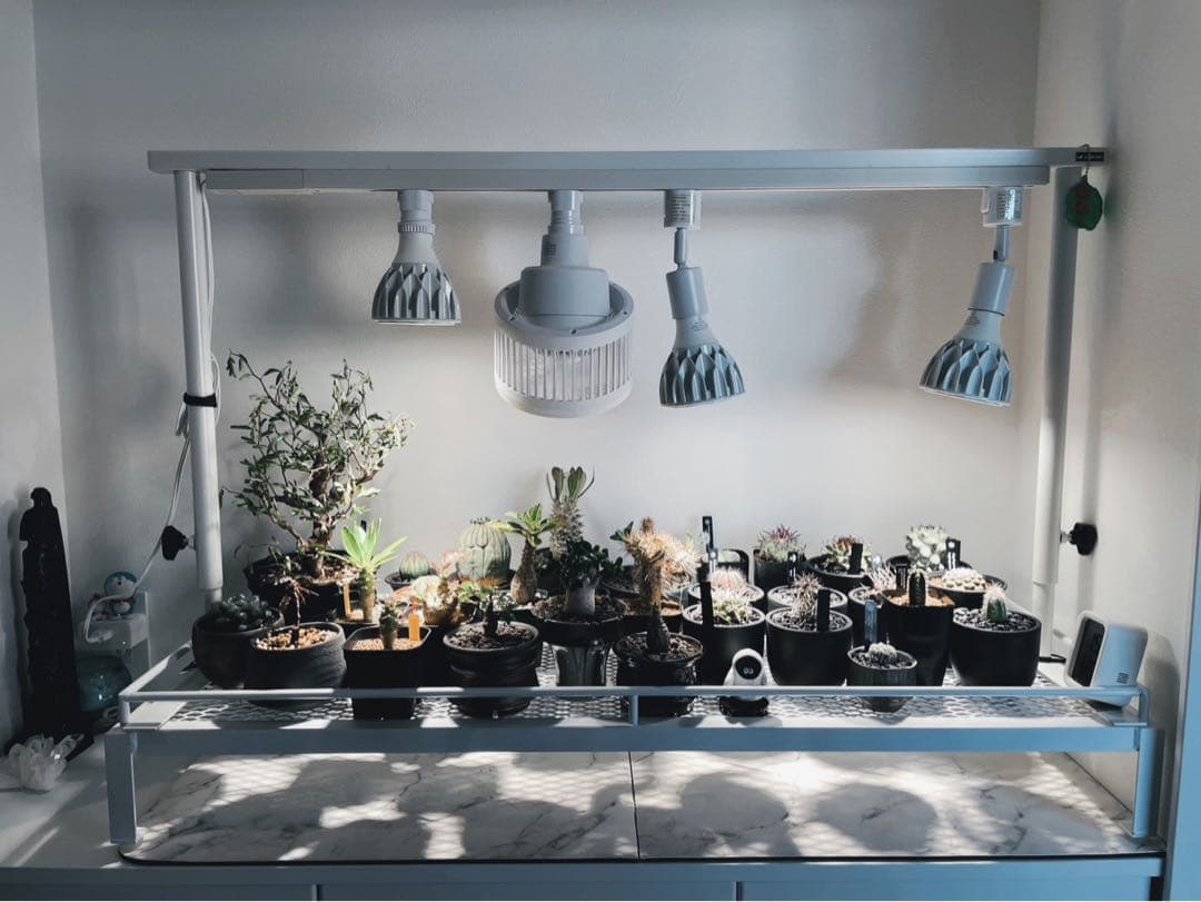 ☆送料込み☆アイアン植物棚ホワイト　即購入OK ボタニカルシェルフ　アガベ　塊根