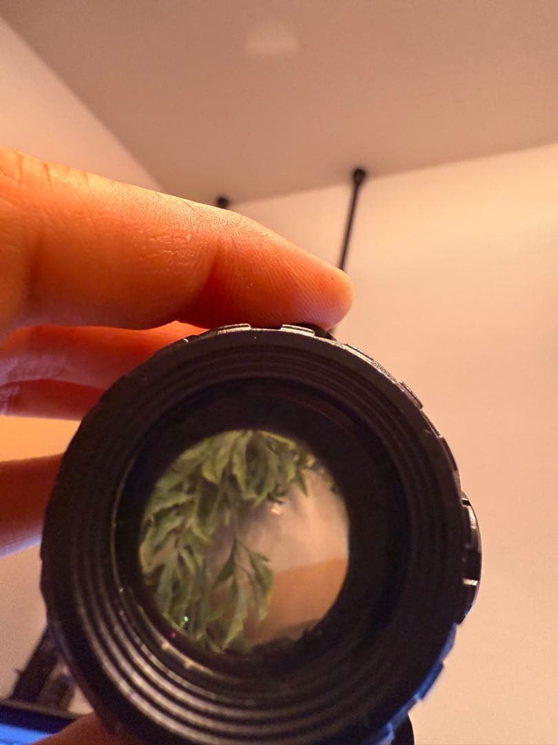 イオテックタイプのEXPS3(558)ホロサイトとG43マグニファイア 中古