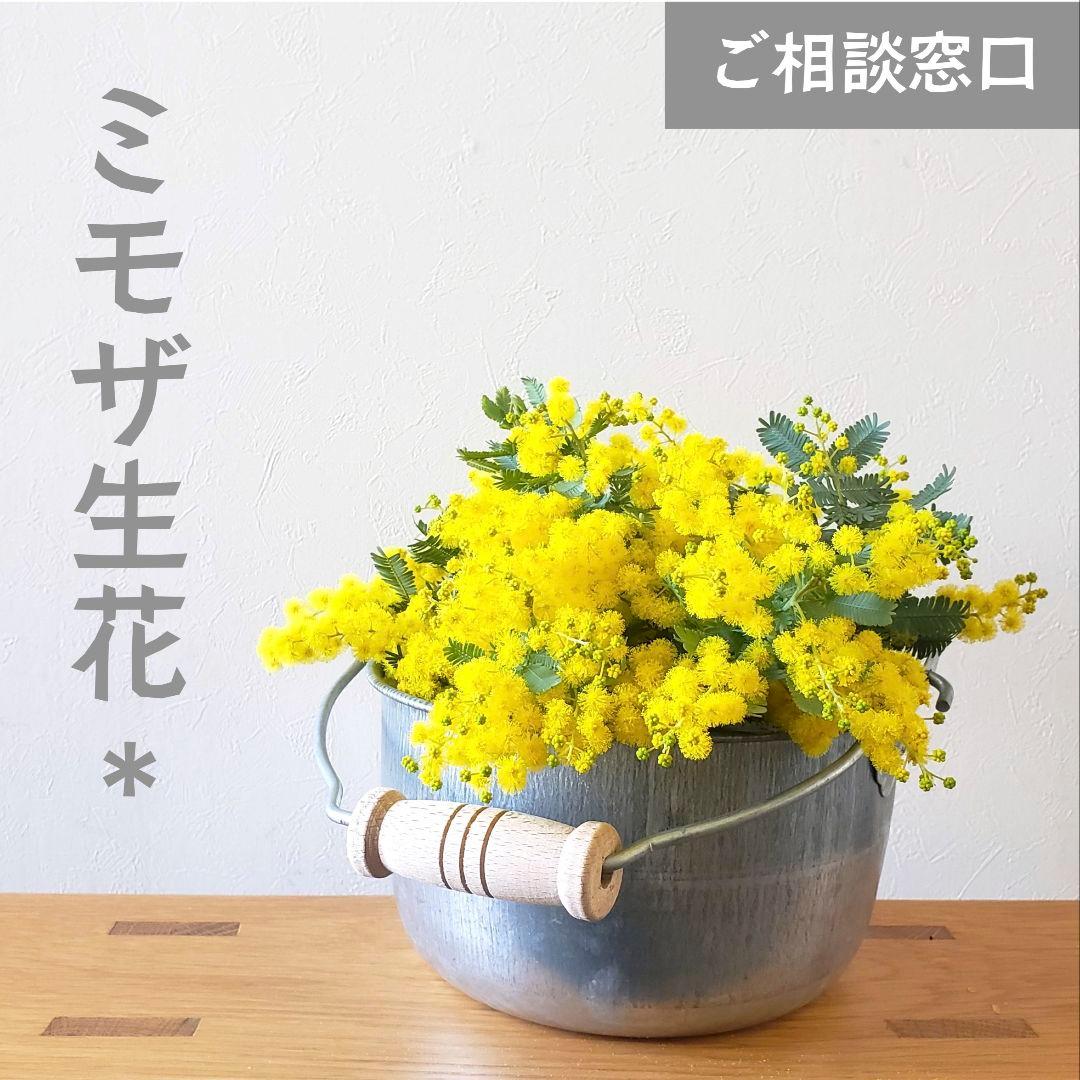 ＊ミモザ生花＊　ご相談窓口〈2026年〉