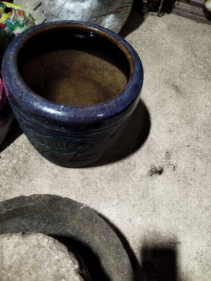 鉢(陶器)