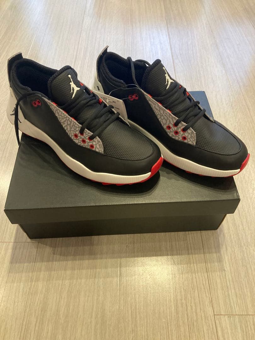 シューズ(男性用) JORDAN ADG2