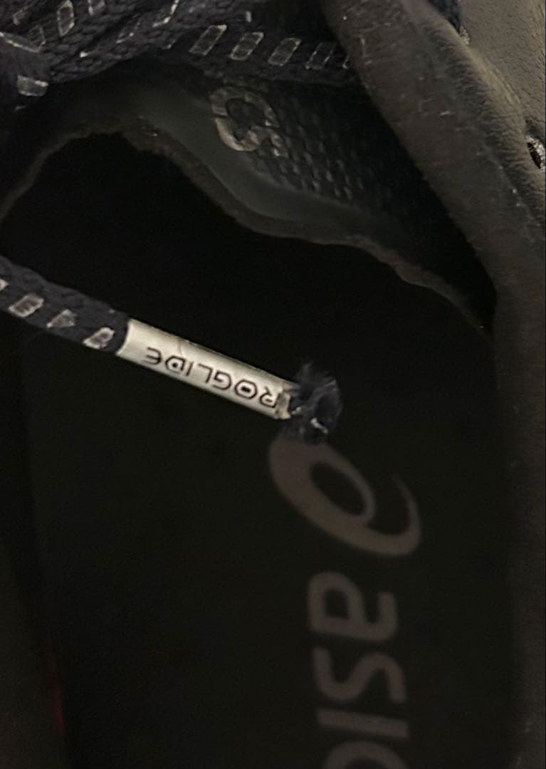 【ネギの助】asics dslight x-fly pro 26cm