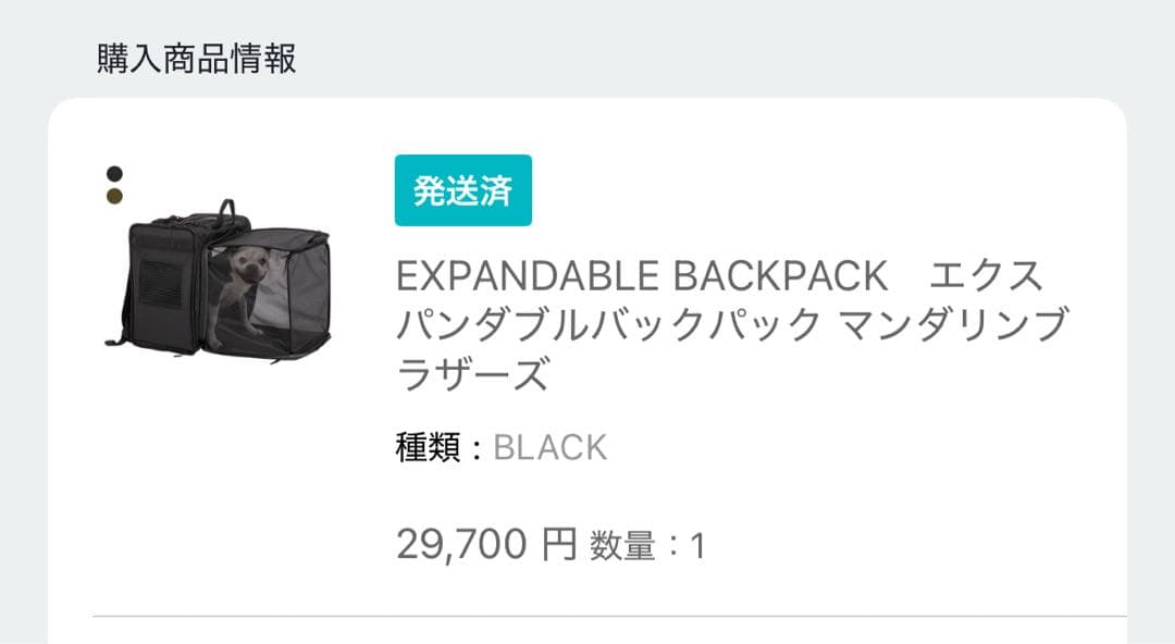 EXPANDABLE BACKPACK I7 パンダブルバックパック