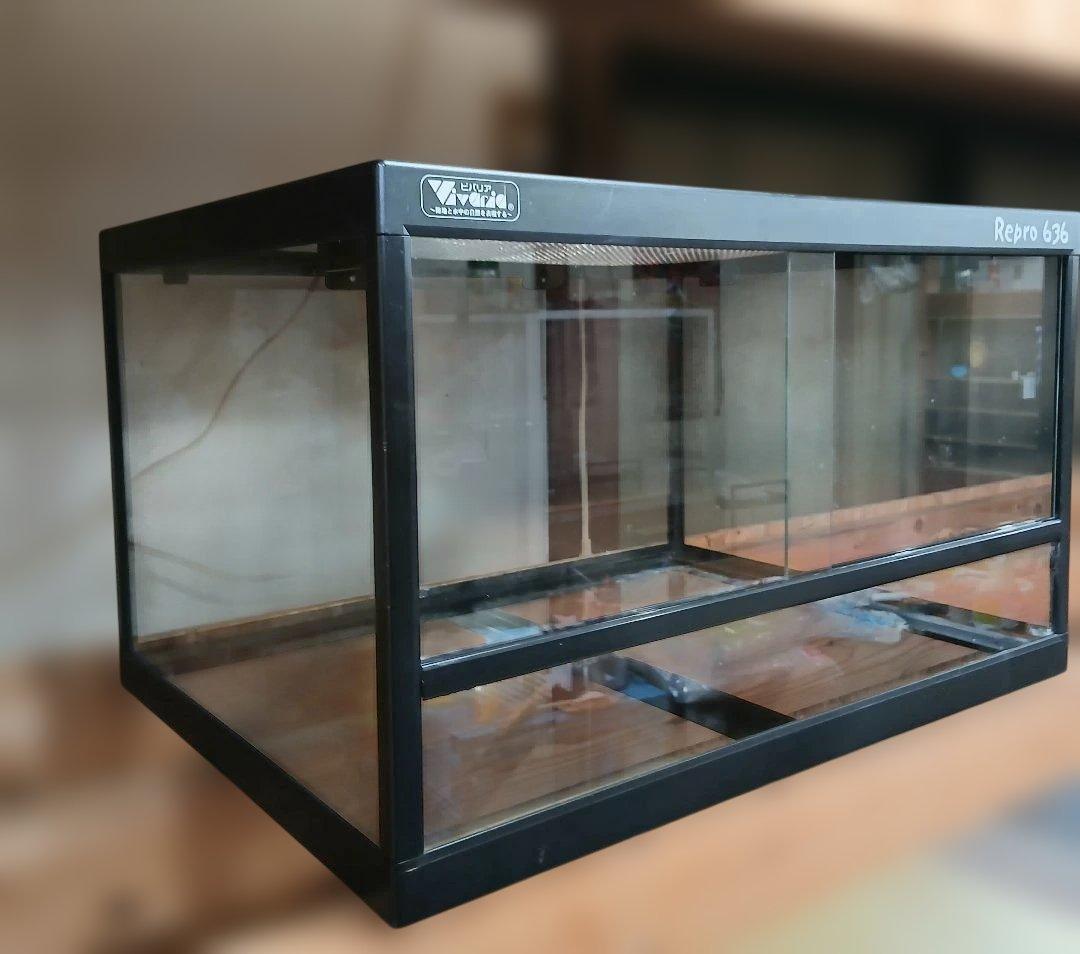 Repro 636 ガラスケージ 60×45×36 発送OK