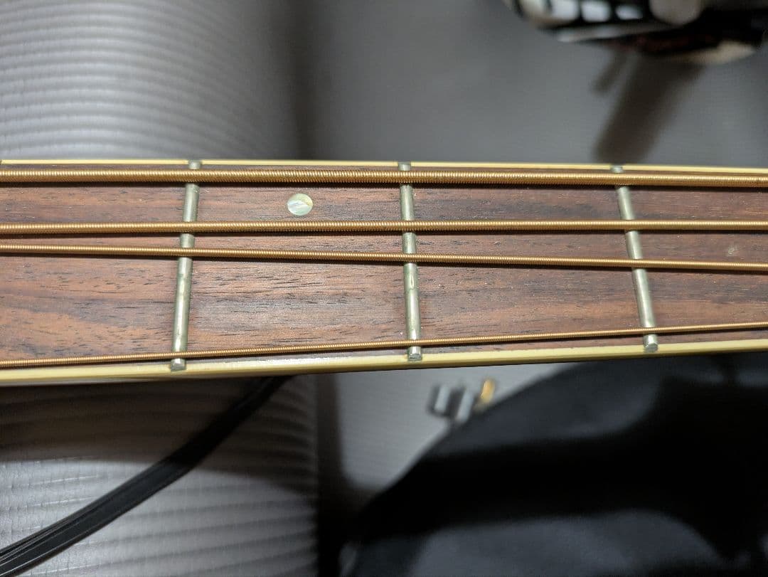 サミック GREG BENNETTデザイン　エレアコベース