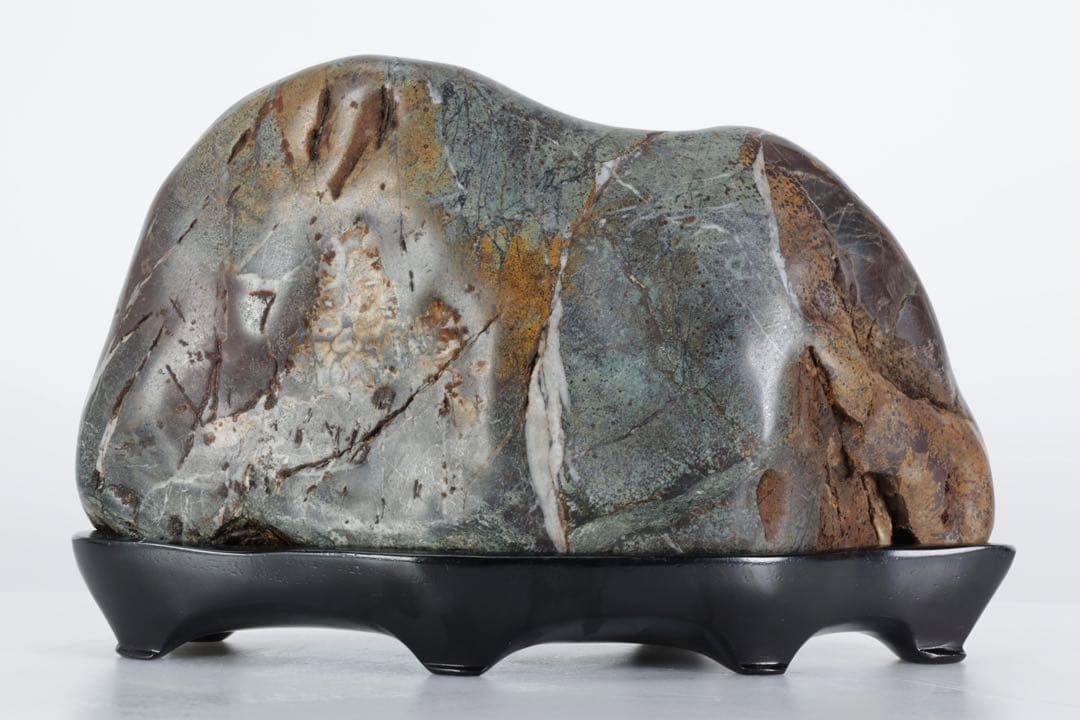 菊花石 紋石 6kg 台座付 鑑賞石 原石 自然石 美石 水石 盆石 飾石 磨石