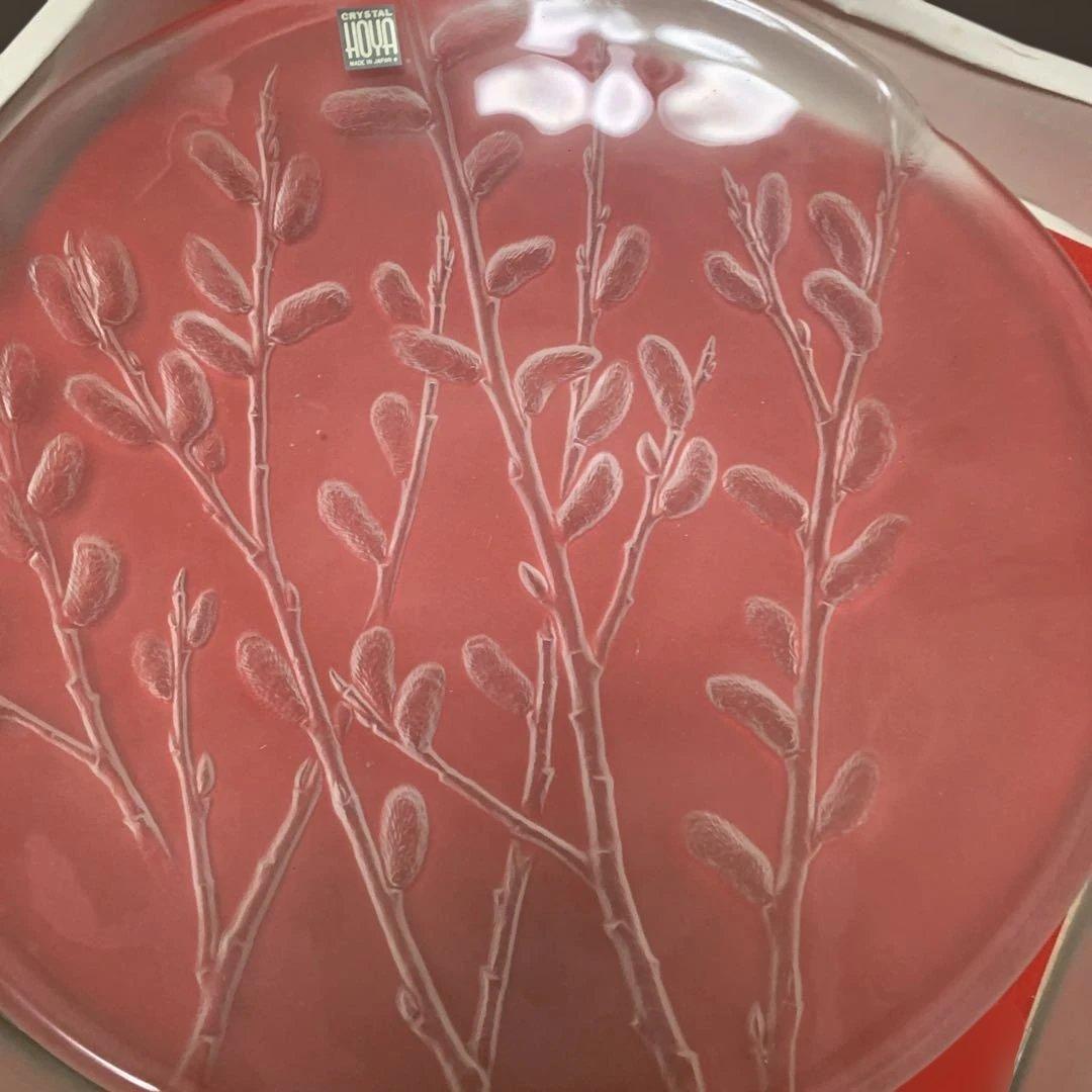 HOYA大皿4枚 コップ6x2 HOYAクリスタルフアン必見‼︎ 未使用おまけ付き