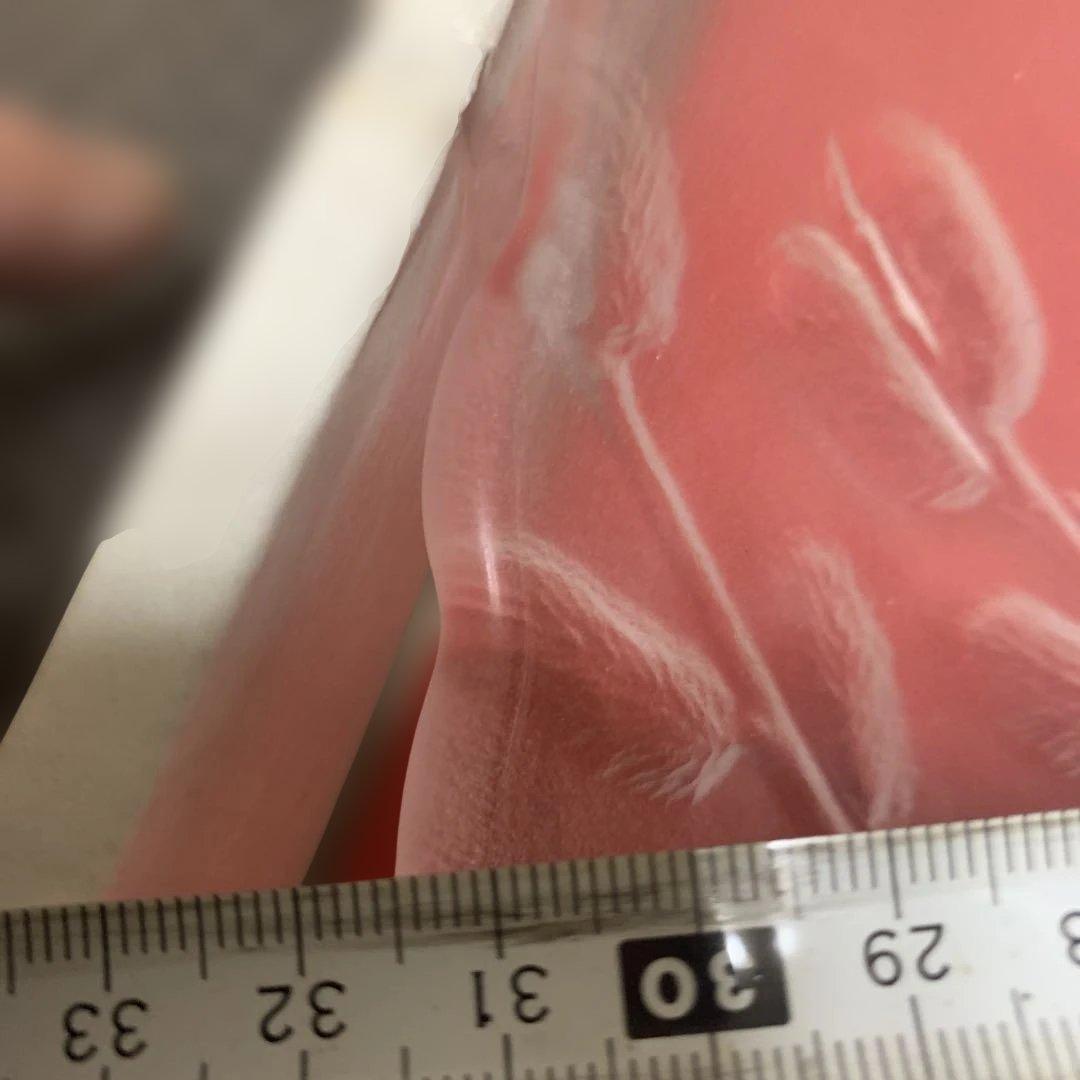 HOYA大皿4枚 コップ6x2 HOYAクリスタルフアン必見‼︎ 未使用おまけ付き