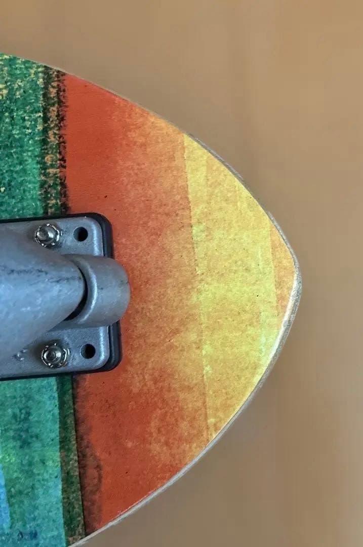 Carver スケートボード 29.0inch CX4 SWALLOW