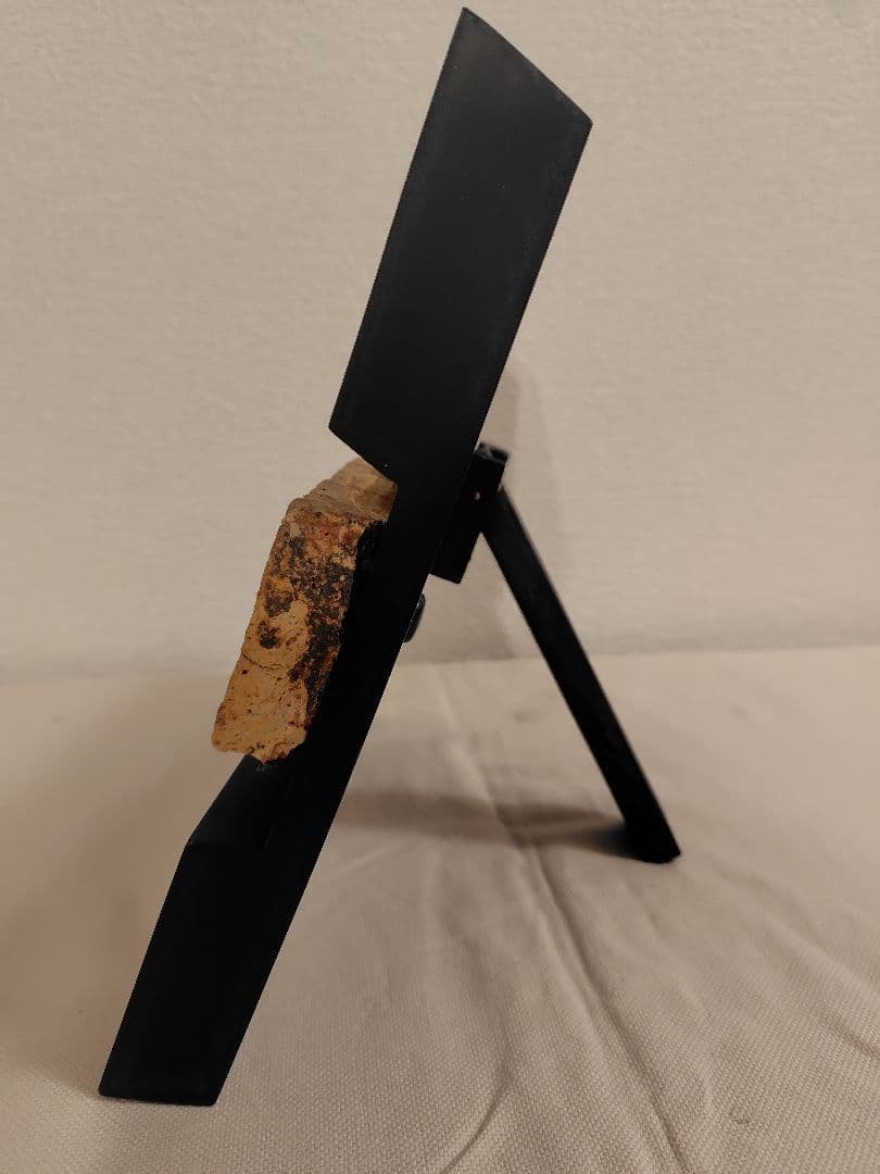 早稲田大学　大隈記念講堂　外壁タイル　1927年建設