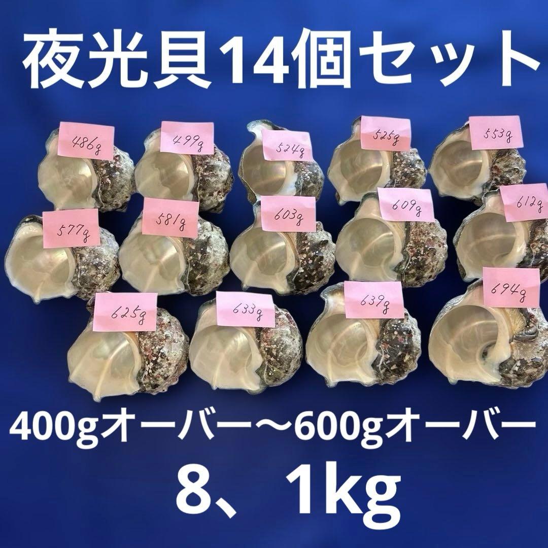 まぁちゃん様 リクエスト 2点 まとめ商品