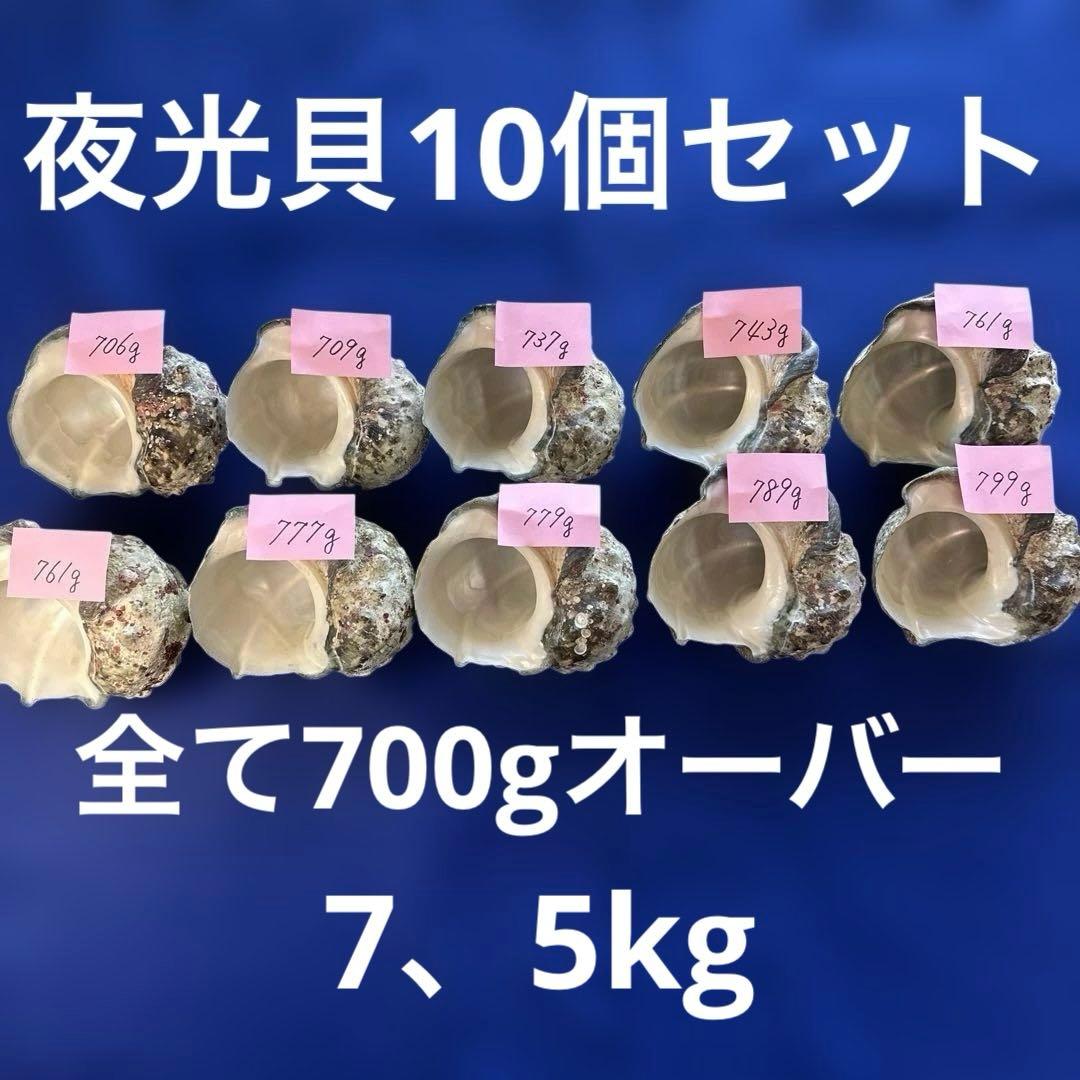 まぁちゃん様 リクエスト 2点 まとめ商品