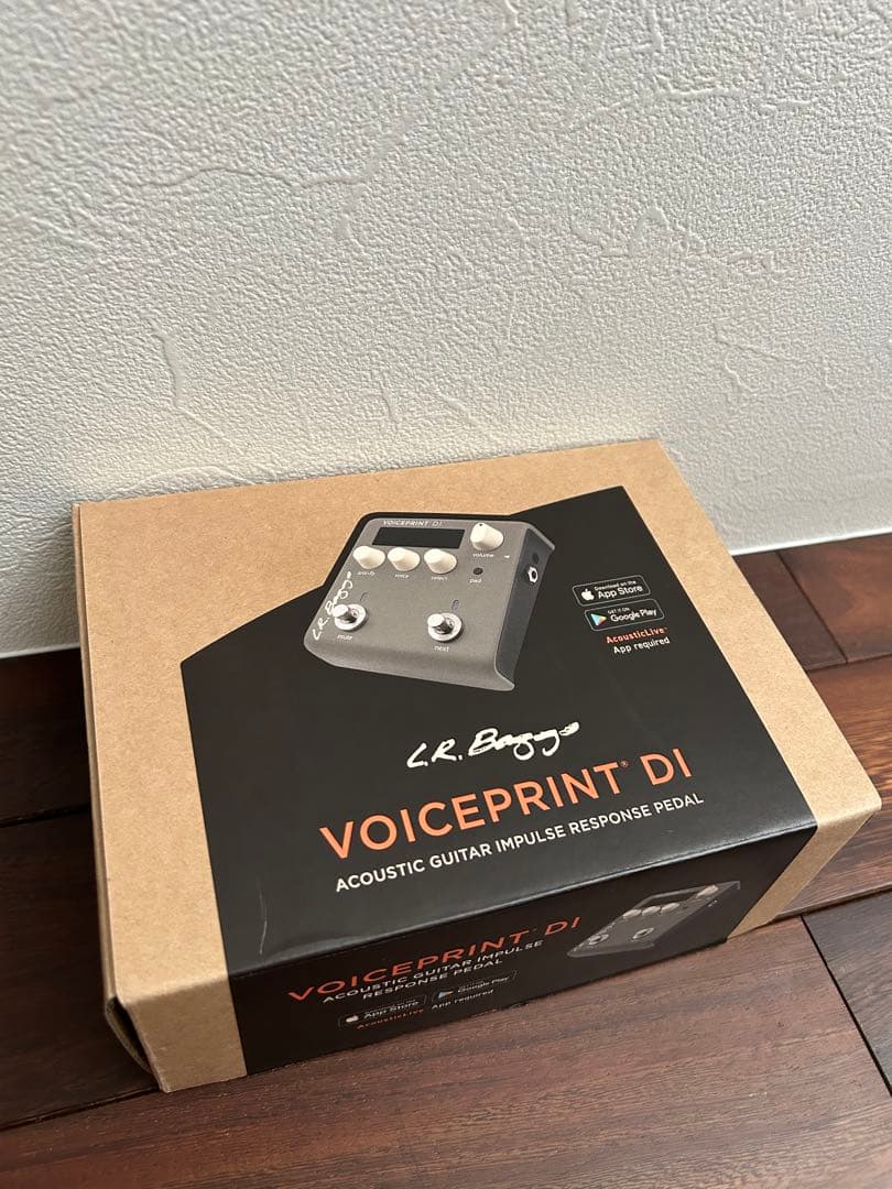 【美品】L.R. Baggs VOICEPRINT DI / ボイスプリントDI
