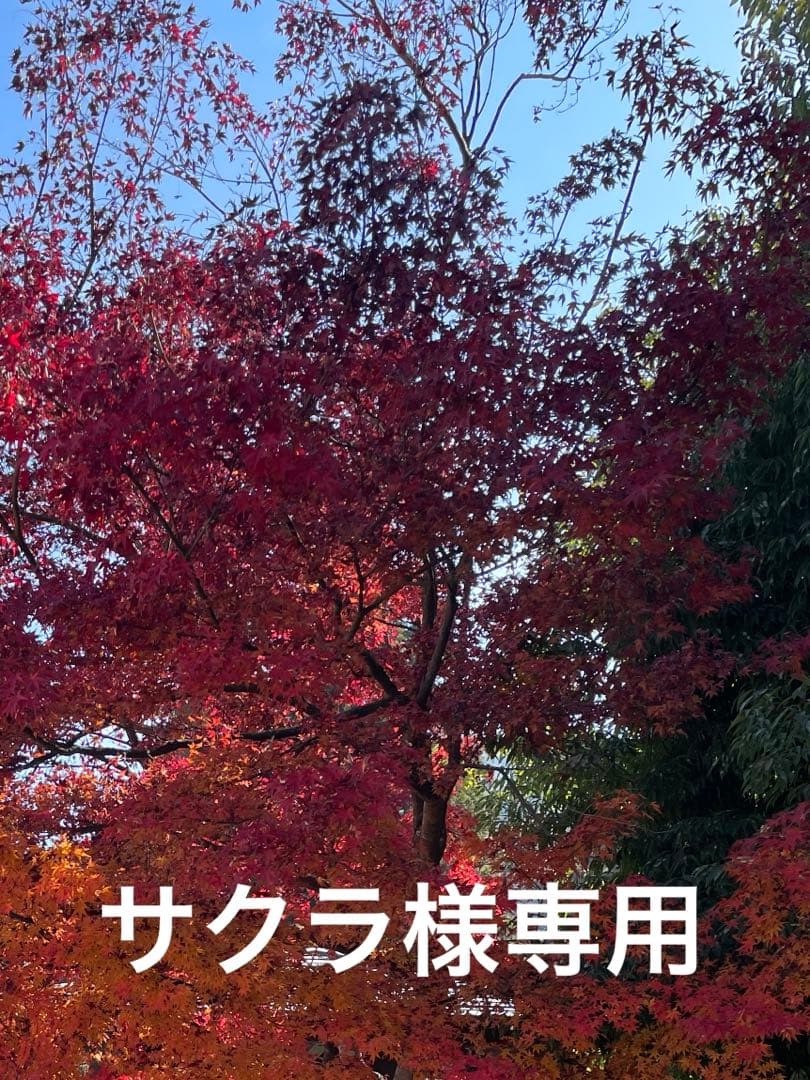 DUNLOP スタッドレスタイヤ 185/70R14 4本セット フリード