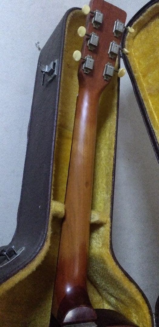 る*様 Stafford ？ セミアコ？シンライン タイプ？