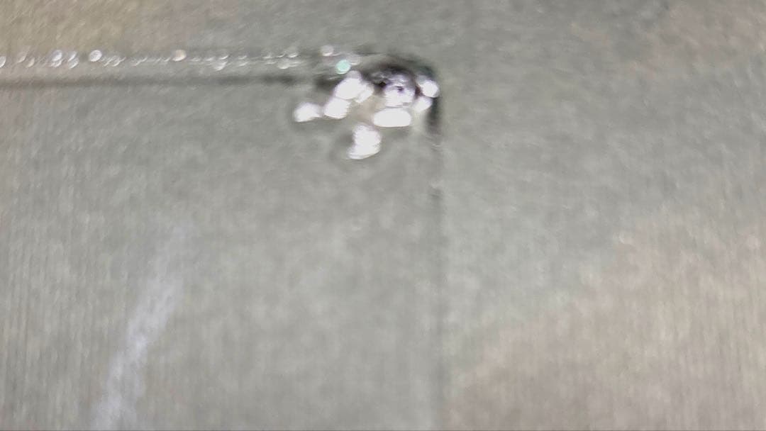 デンマークアンティーク　フォトスタンド　写真立て ＆アンティークレース