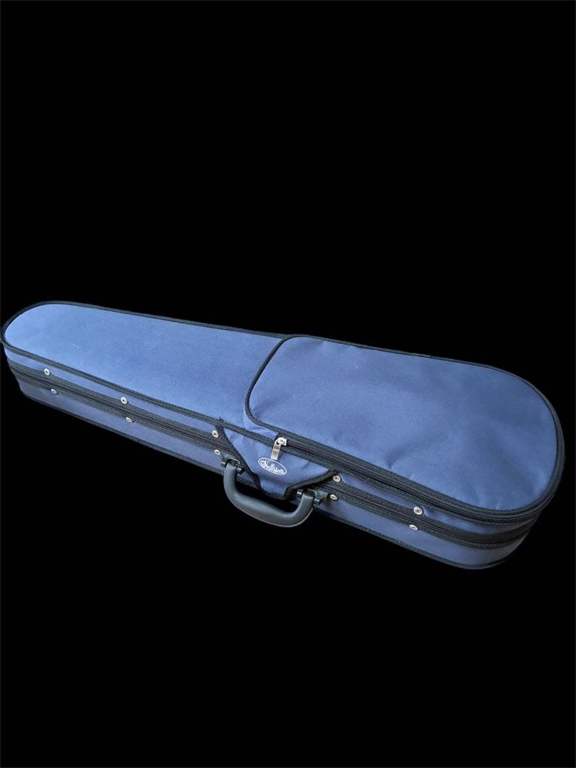 美品 hallstatt ハルシュタット CV-210E エレキバイオリン 黒