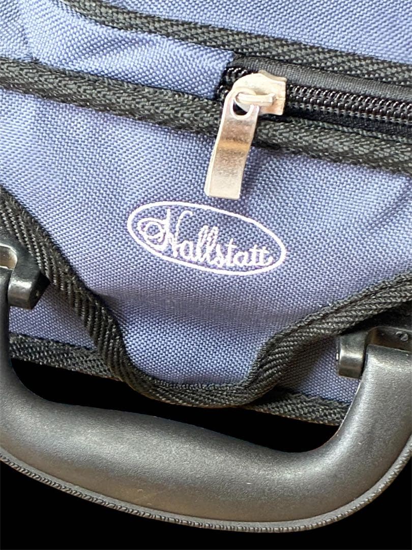 美品 hallstatt ハルシュタット CV-210E エレキバイオリン 黒