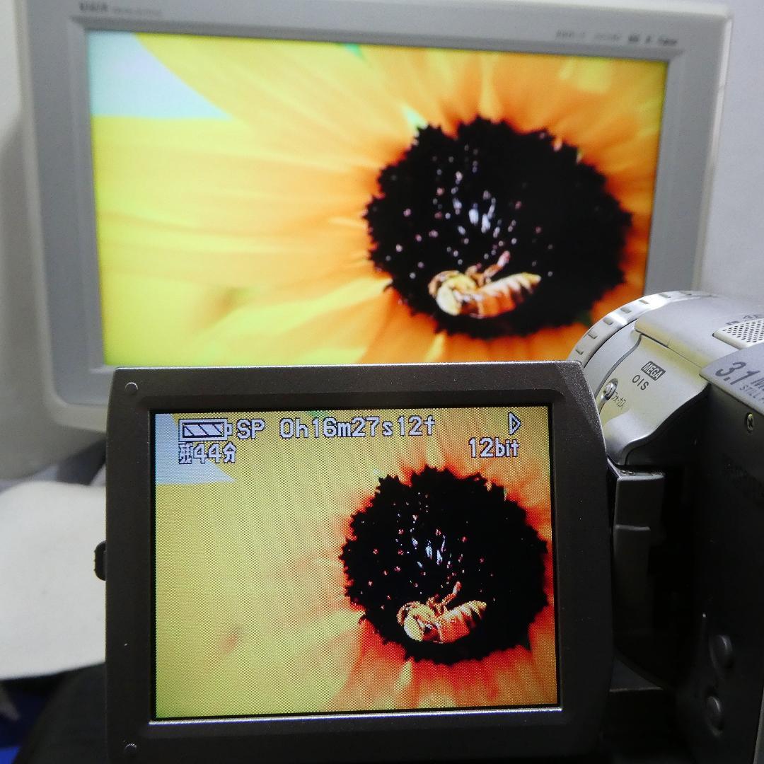 動作良好 パナソニック NV-GS100 MiniDVビデオカメラDVD化に最適