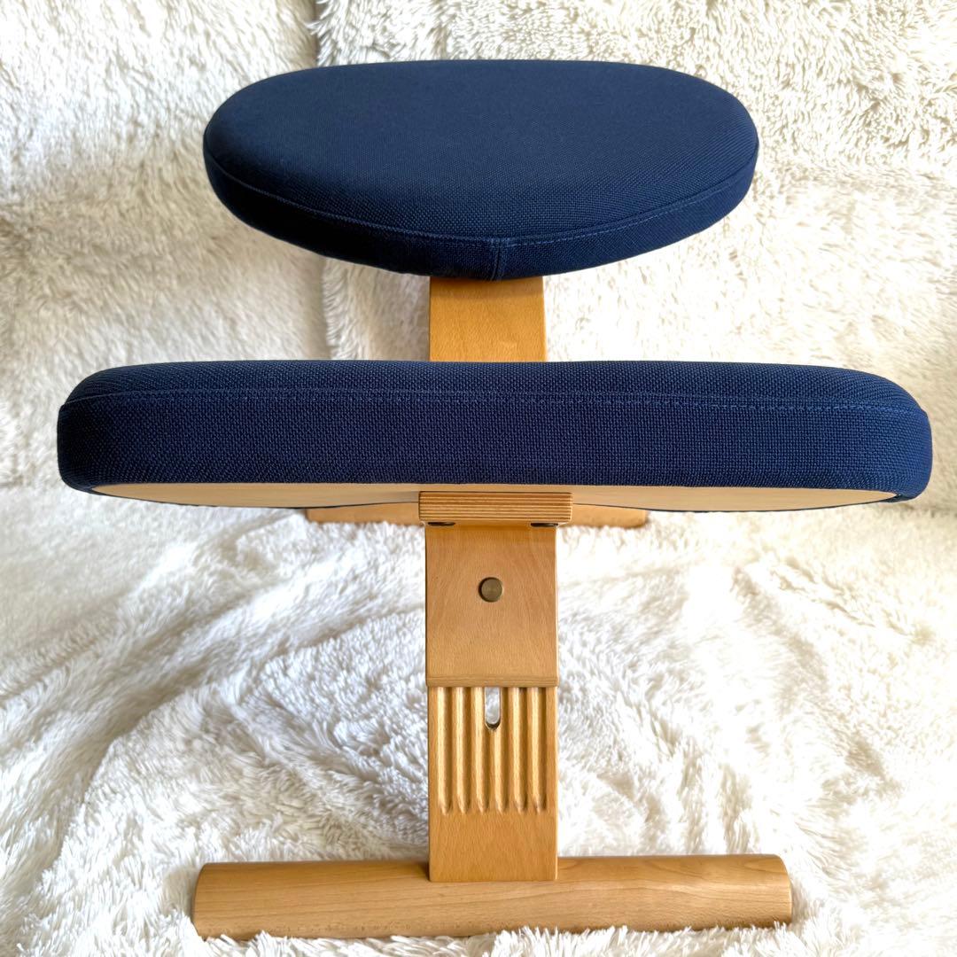バランスチェア イージー balans Easy ネイビー　サカモトハウス　リボ