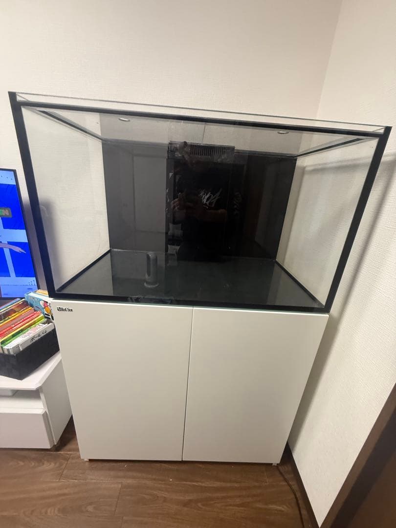 Redsea 250 オーバーフロー水槽 大きめ ホワイト