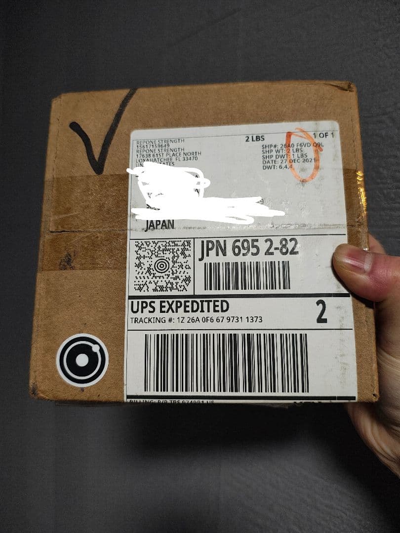 REPONE VBT トレーニング