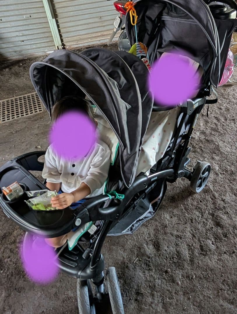 最安値！二人でゴーDX レインカバー付き