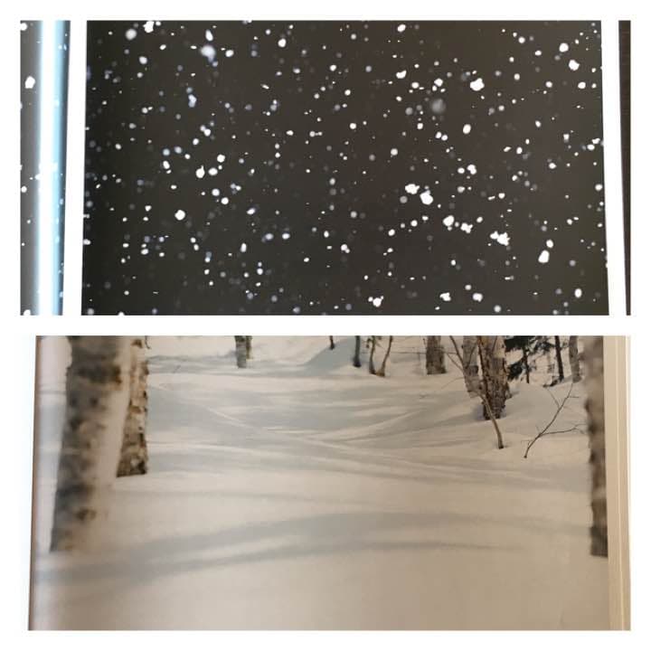 鈴木理策 （直筆サイン入り）限定写真集 2008