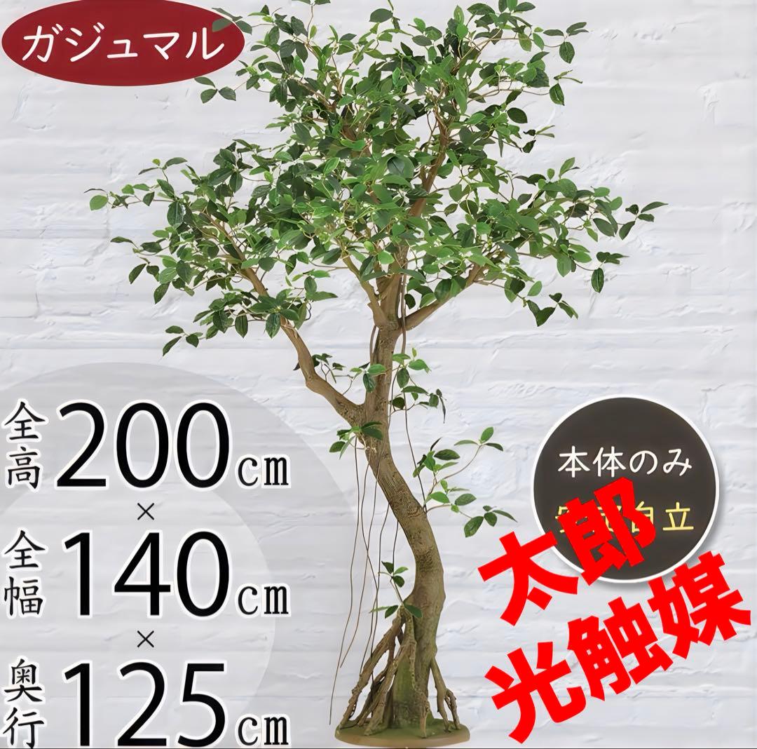 光触媒　人工観葉植物　ウォールグリーン　フェイクグリーン　ガジュマルコアッド