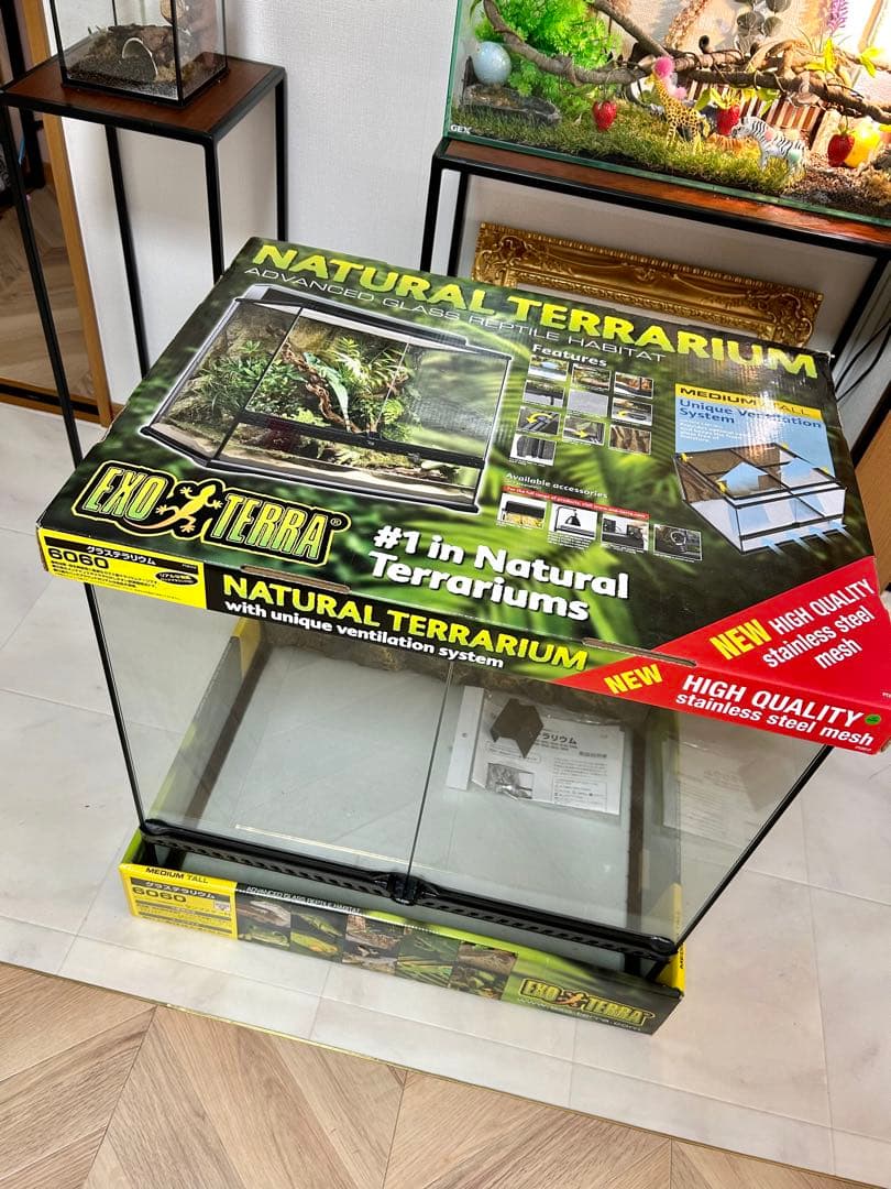 （大型）爬虫類ケージ　ＧＥＸ　エキゾテラ　グラステラリウム　６０６０　爬虫類