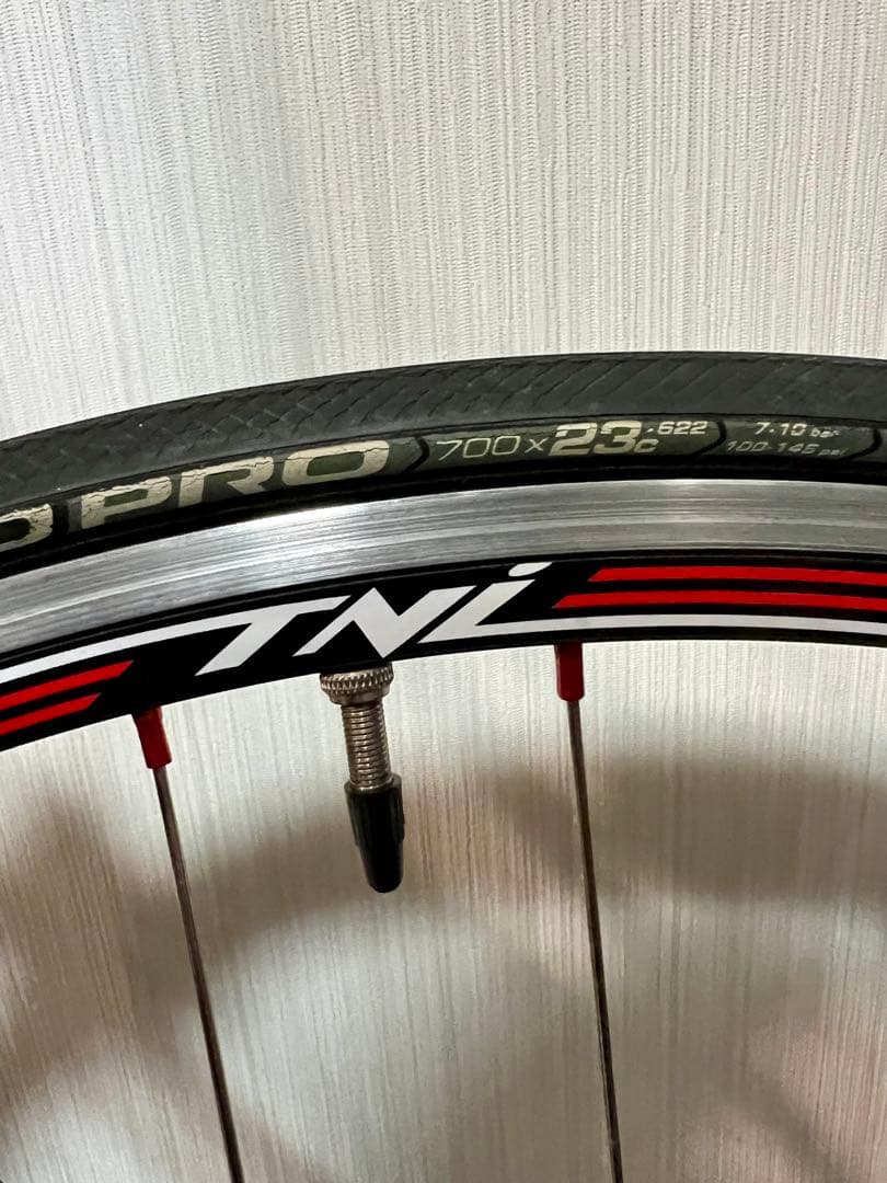 【Cat eye Bolt800付属】軽量シングルスピードバイク【パナモリ】