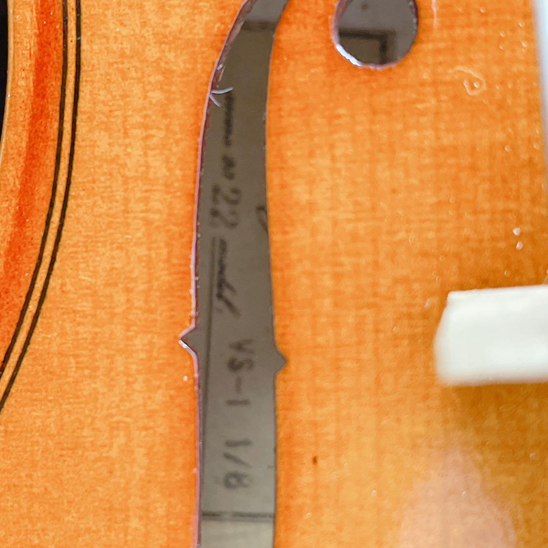 Carlogiordano vs-1 ヴァイオリン 1/8