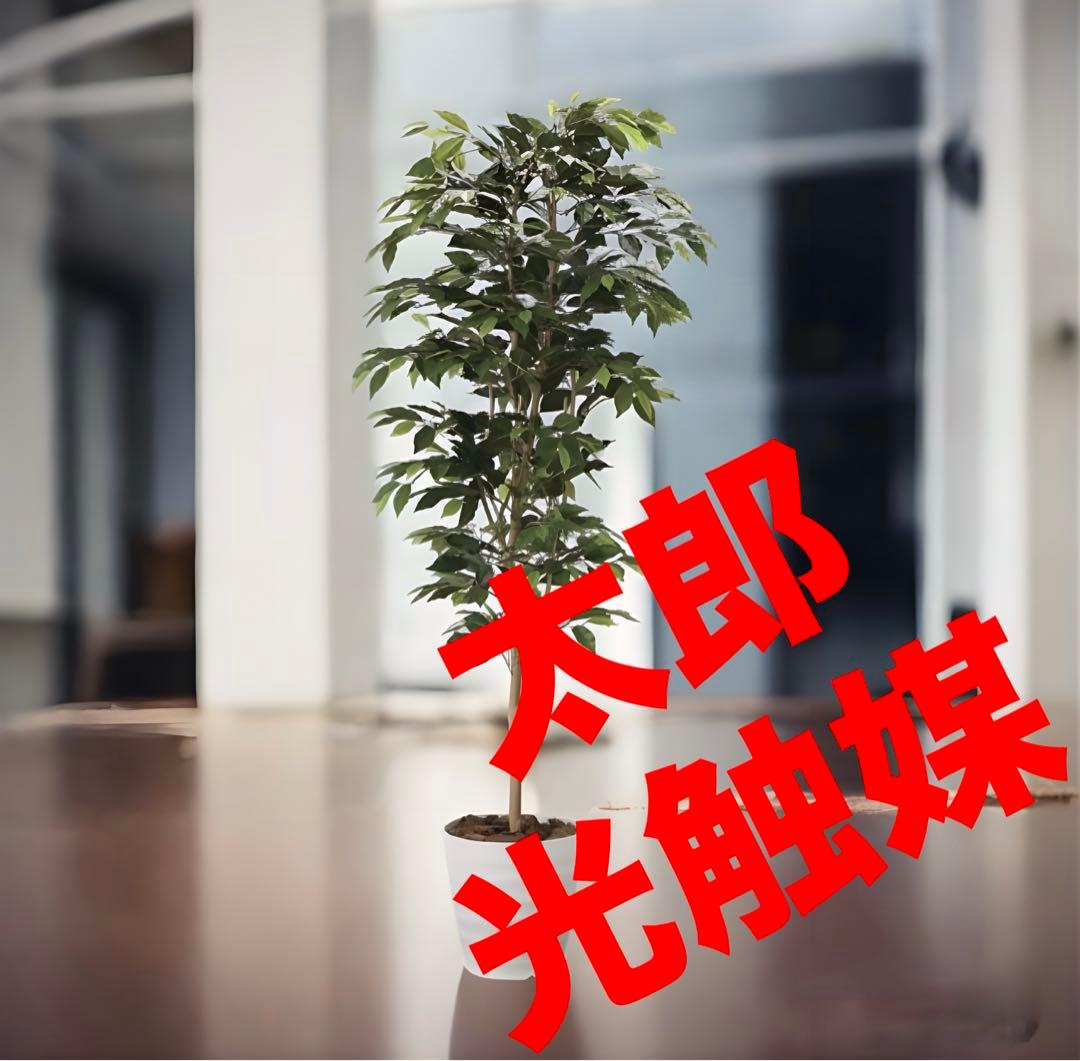 光触媒　人工観葉植物　フェイクグリーベンジャミン 高さ 1.8m