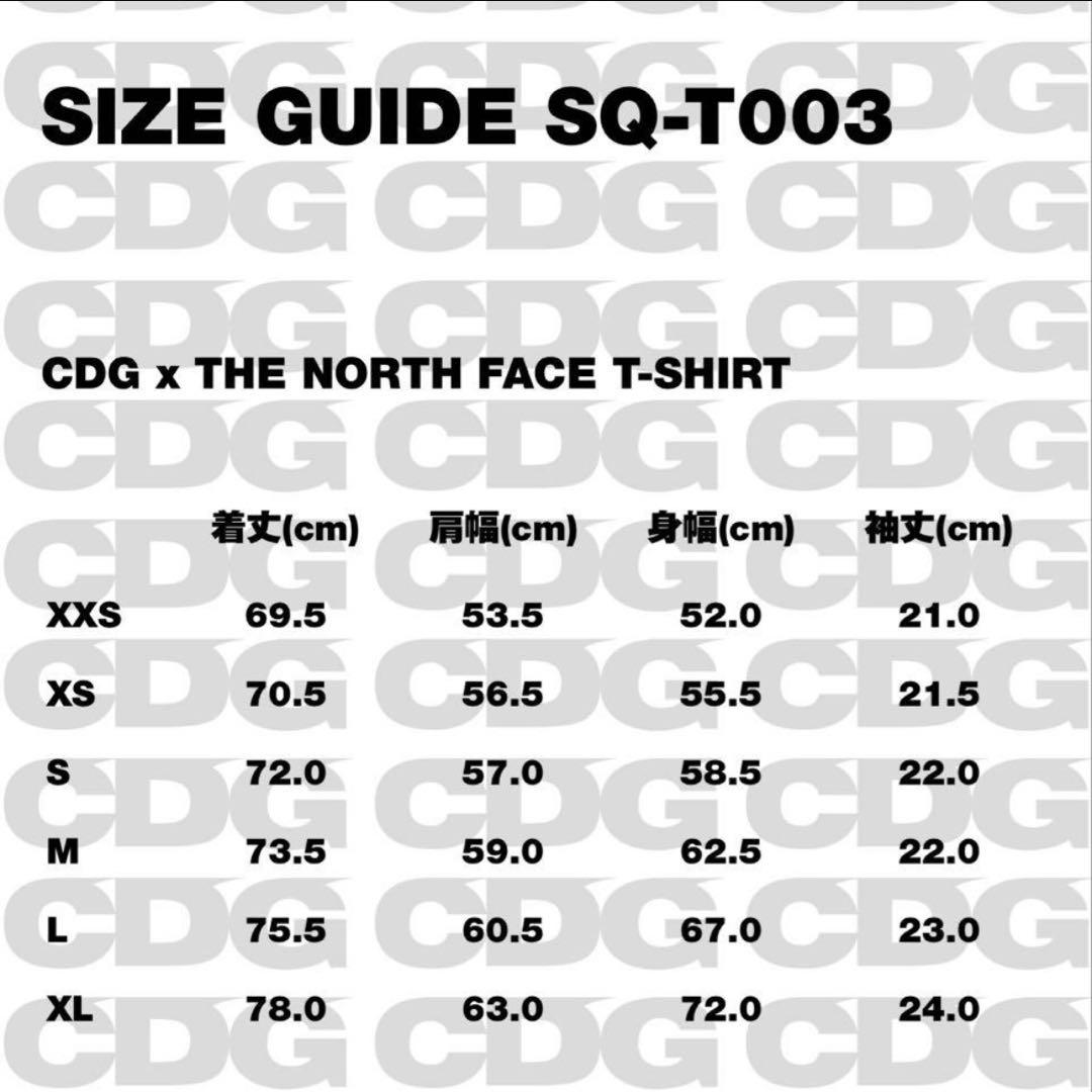 CDG x THE NORTH FACE Tシャツ M コムデギャルソン