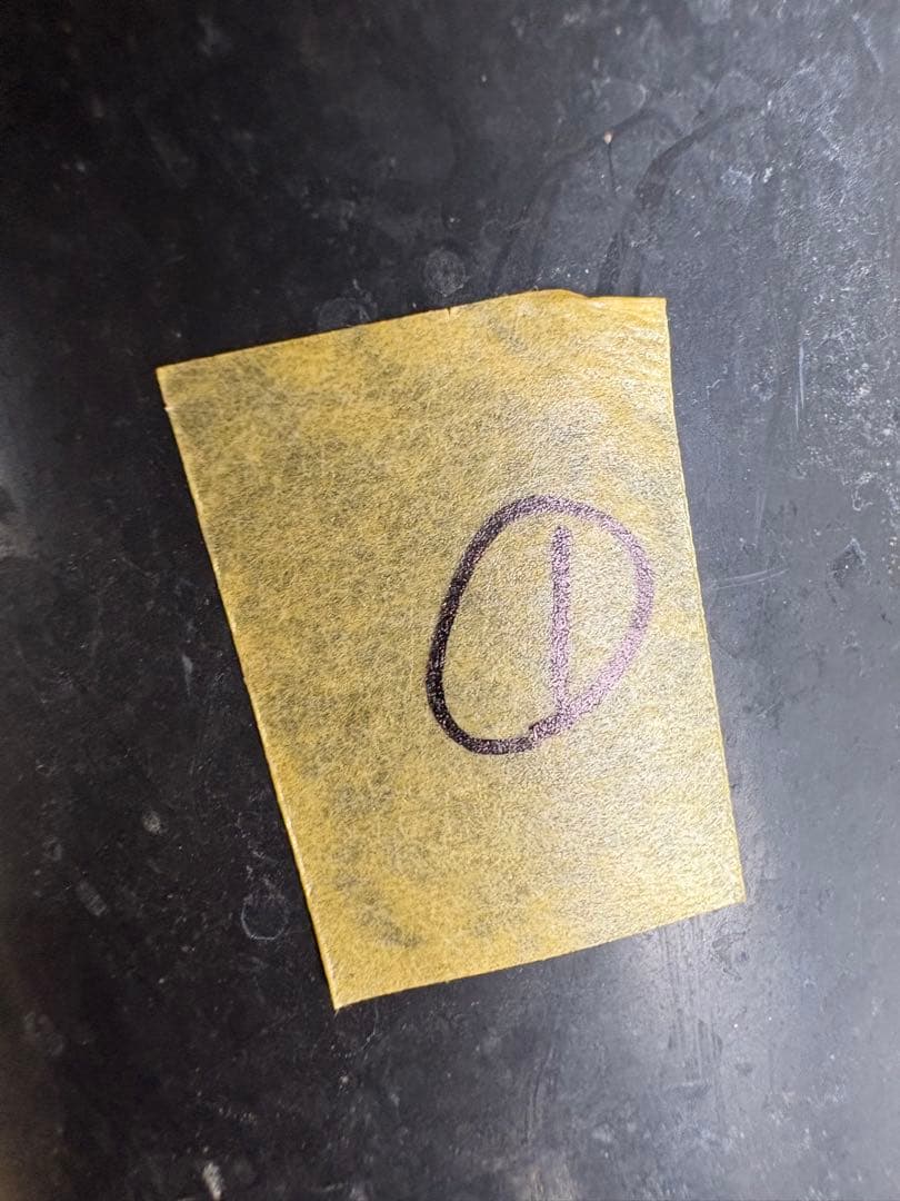 モンステラ オブリクアペルー 4号鉢 ①