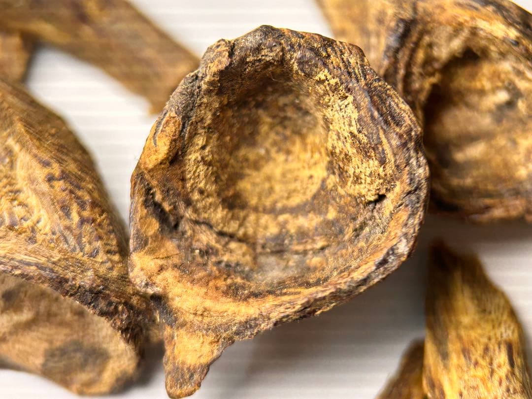 お香 天然沈香 六国五味聞香用 伽羅 香木 2-S-10.155