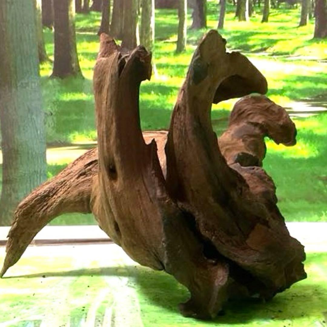 コエポン様 リクエスト 5点 まとめ商品