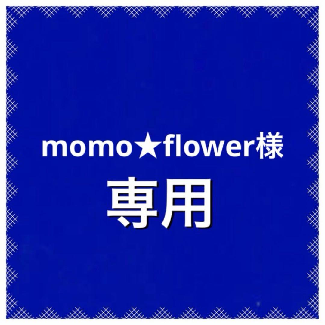 renata brenha レナータブレナ visitfor スカート　花柄