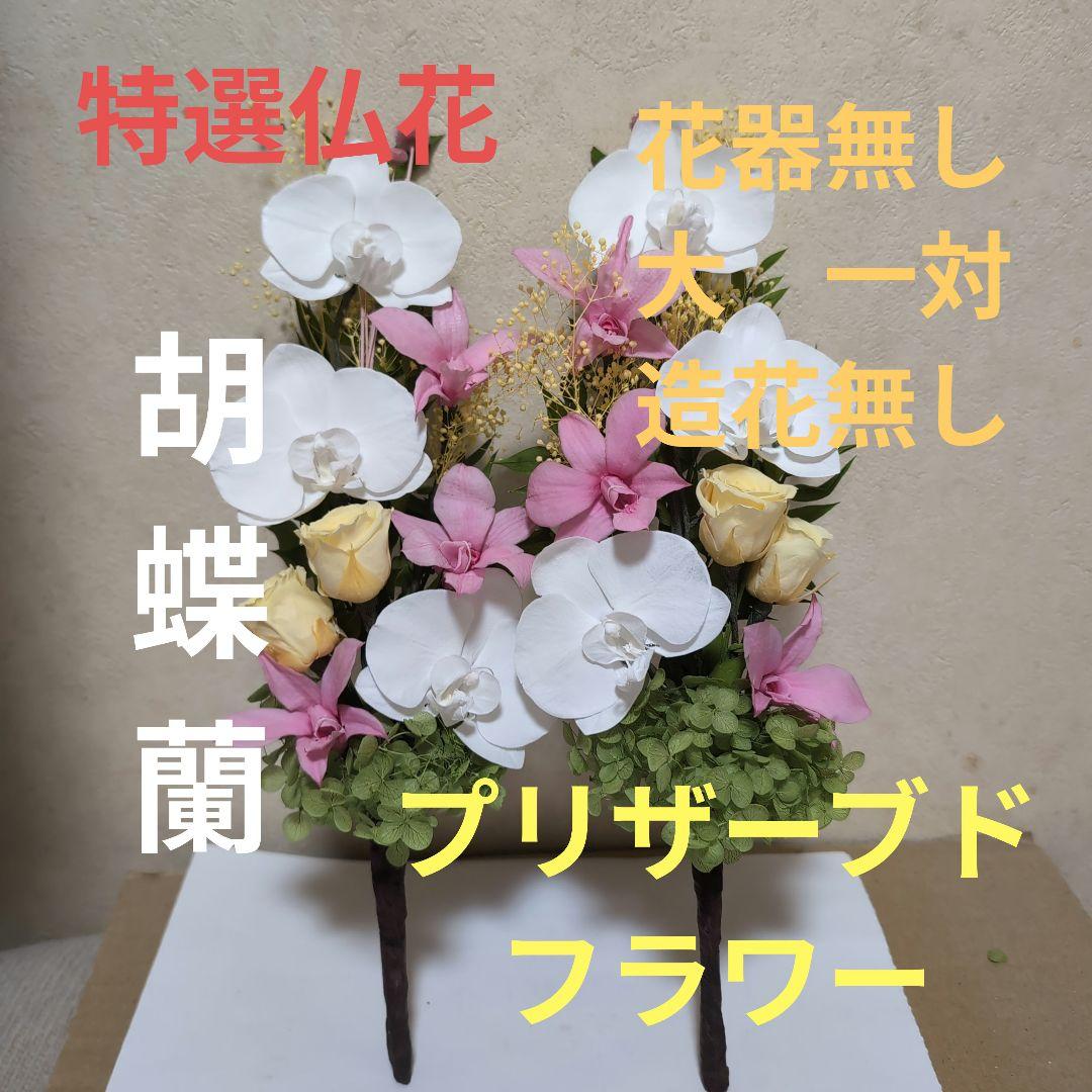 特選仏花 　胡蝶蘭 花器無し　 造花無し　大　一対 プリザーブドフラワー