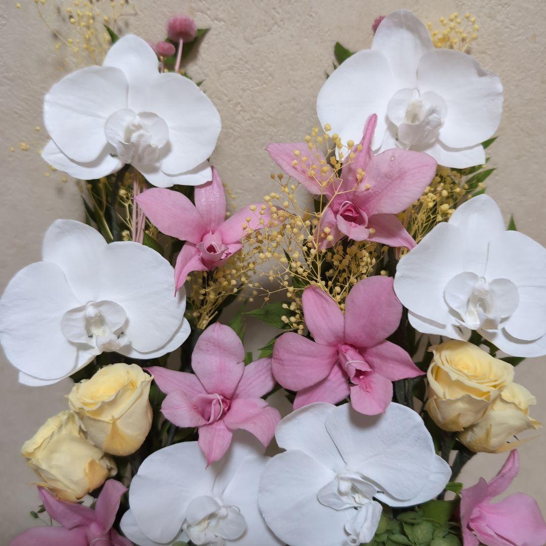 特選仏花 　胡蝶蘭 花器無し　 造花無し　大　一対 プリザーブドフラワー