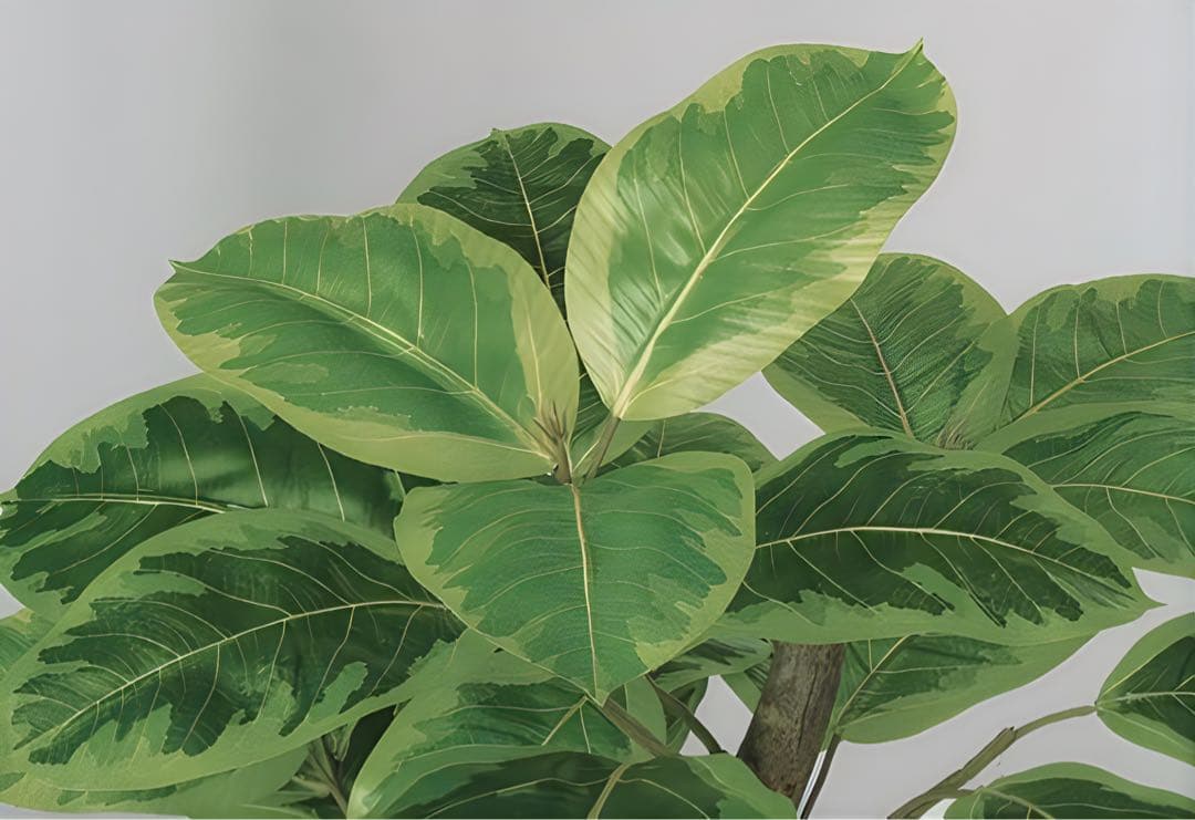 光触媒　人工観葉植物　ウォールグリーン　フェイクグリーン　アルテシマ株立FST